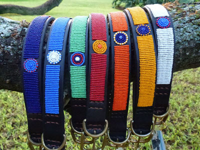 Dog Collars